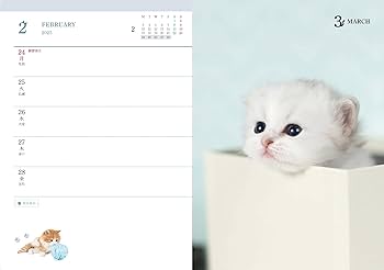 ねこねこ★12点おまとめ出品 Amazon | 猫おもちゃ 猫電動じゃらし 猫ボール 猫用電動おもちゃ